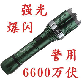 黑鹰HY-8810型特警电棍